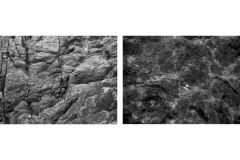 Ohne Titel Ohne Titel