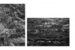 Ohne Titel Ohne Titel