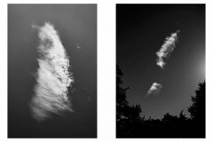 Ohne Titel