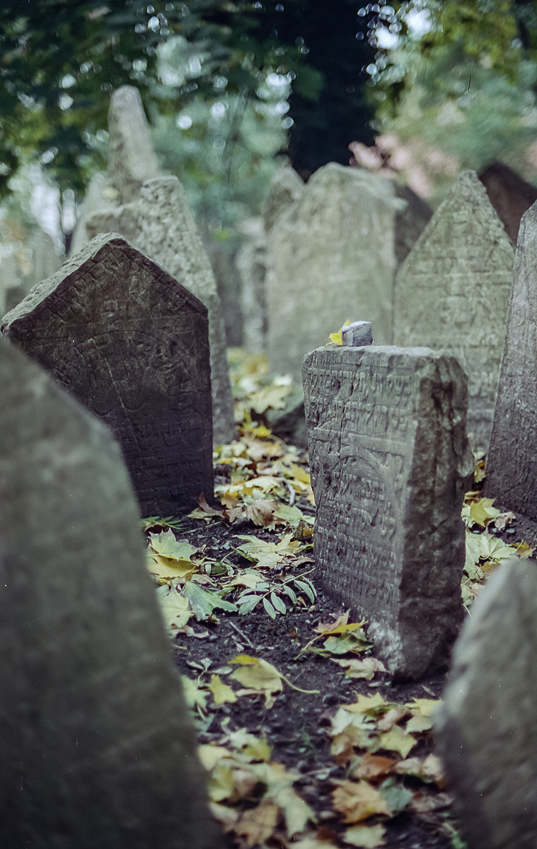 Jüdischer_Friedhof_Prag_(15_von_17)