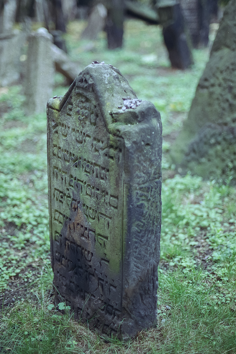 Jüdischer_Friedhof_Prag_(4_von_17)