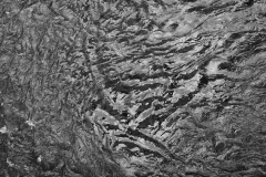 JHU08682 JHU08682