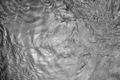 JHU08707