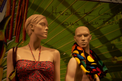 DSC5486 DSC5486