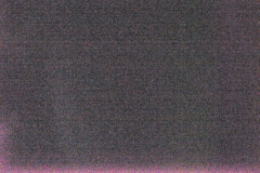 _DSC2607-c1 _DSC2607-c1