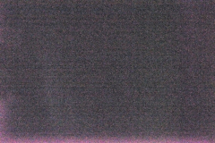 _DSC2608-c1 _DSC2608-c1