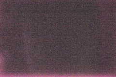 _DSC2609-c1 _DSC2609-c1