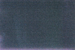 _DSC2610-c1 _DSC2610-c1