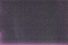 _DSC2611-c1 _DSC2611-c1