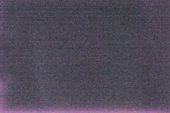 _DSC2612-c1 _DSC2612-c1