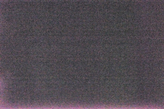 _DSC2613-c1 _DSC2613-c1