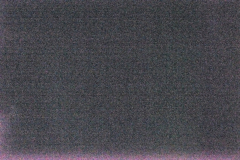 _DSC2614-c1 _DSC2614-c1