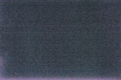 _DSC2616-c1 _DSC2616-c1