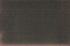 _DSC2618-c1 _DSC2618-c1