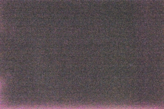 _DSC2619-c1 _DSC2619-c1