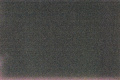 _DSC2620-c1 _DSC2620-c1