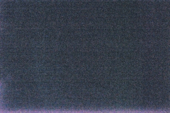 _DSC2621-c1 _DSC2621-c1