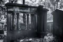 DSC0041-Bearbeitet_HDR