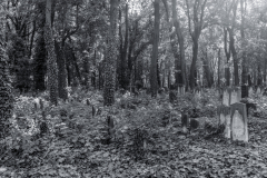 DSC0102-Panorama-Bearbeitet