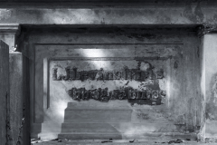 DSC0113-Bearbeitet