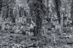 DSC0125-Panorama-Bearbeitet