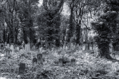 DSC0137-Panorama-Bearbeitet-Bearbeitet