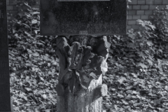 DSC0151-Bearbeitet