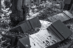 DSC0165-Panorama-Bearbeitet