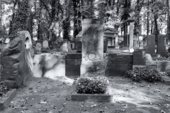 DSC0174-Panorama-Bearbeitet