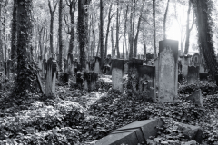 DSC0179-Panorama-Bearbeitet